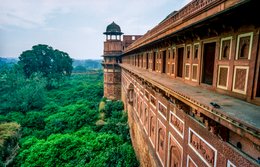 Agra;-Agra-Fort;-Architecture;-Carved-panels;-Carving;-Cornice;-Facade;-India;-Jahangiri-Mahal;-Kaleidos;-Kaleidos-images;-La-parole-à-limage;-Lal-Qila;-Mughal;-Pigeon;-Red-sandstone;-Stories-Pictures;-Tarek-Charara;-UNESCO;-Uttar-Pradesh;-Vegetation;-World-Heritage